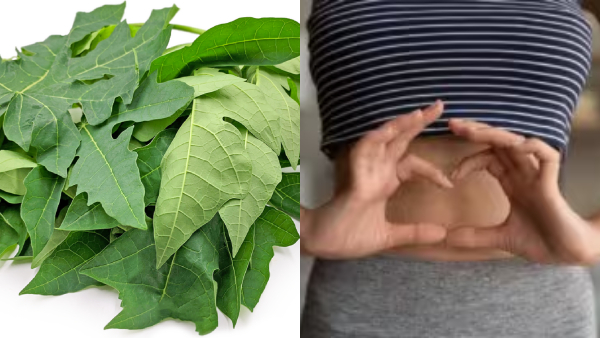 Benefits Of Papaya Leaves Benefits Of Papaya Leaves