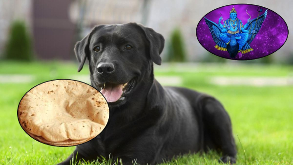 Black Dog Feeding Benefit