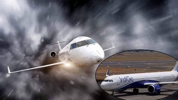 Delhi Goa Indigo flight