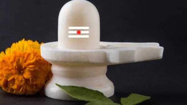 Meaning Of Snake Dream Before Sawan