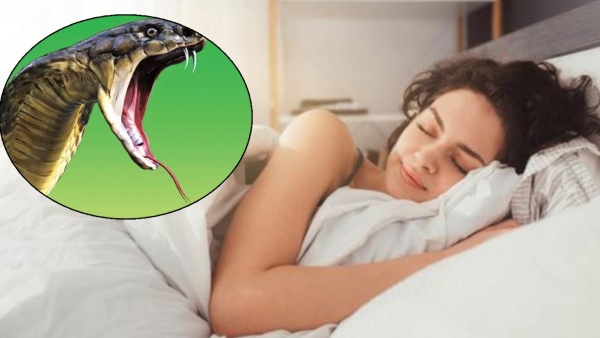 Meaning Of Snake Dream Before Sawan