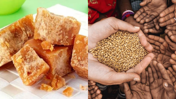 hariyali amavasya 2025 daan list