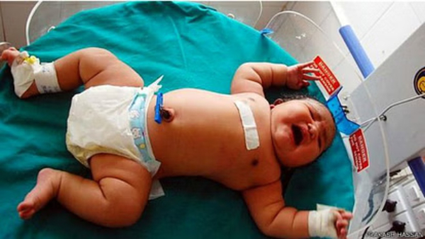 How does baby weight increase in womb How does baby weight increase in womb