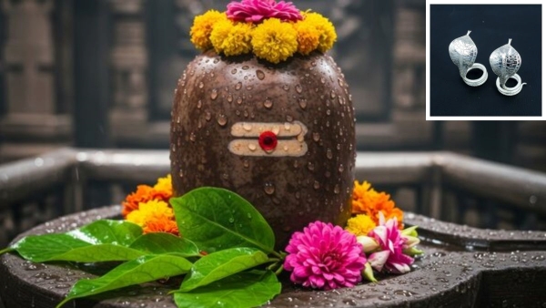 Benefits of Offering a Silver Nag-Nagin Pair on Shivling