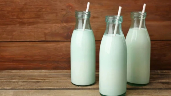 Non-Veg Milk vs Regular Milk