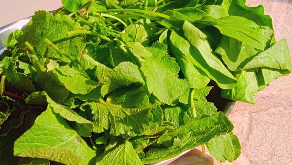 Wednesday Astrology Beliefs