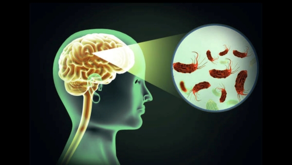 9-year-old girl dies due to brain-eating amoeba