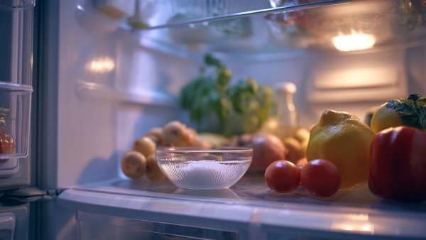 Why Keep a Bowl of Salt in the Fridge During Monsoon Why Keep a Bowl of Salt in the Fridge During Monsoon