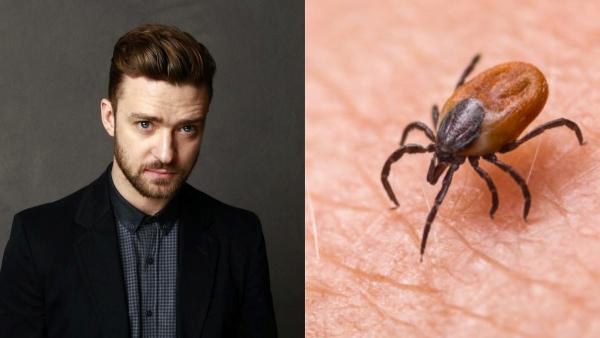 Justin Timberlake Diagnosed with Lyme Disease Justin Timberlake Diagnosed with Lyme Disease