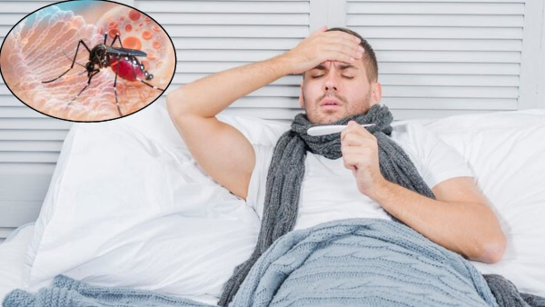 Symptoms of dengue Malaria