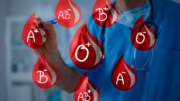 Best Blood Group Intelligence