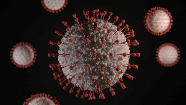 Stratus Covid Variant