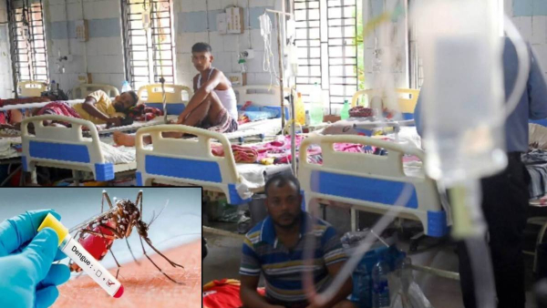 Dengue Fever Signs Or Safety Tips