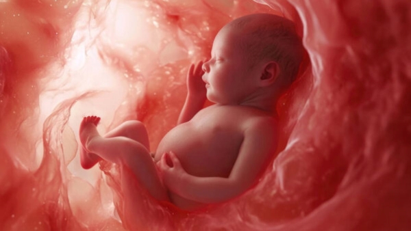 Gurgaon Doctors Remove Two Fetus in Fetu Parasitic