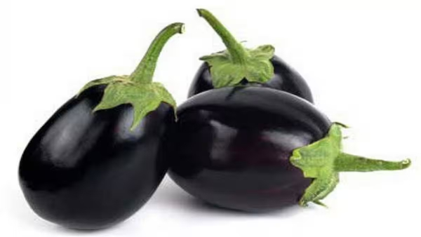 National Nutrition Week 2025