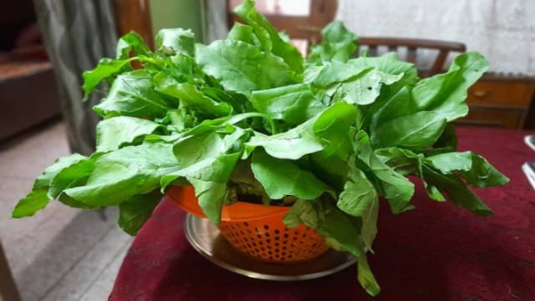 Who Should Not Eat Spinach