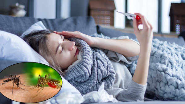 Difference Between Malaria Flu And Dengue