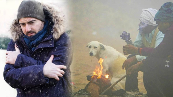 Severe Winter Cold 2025