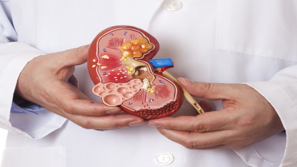 Kidney Health