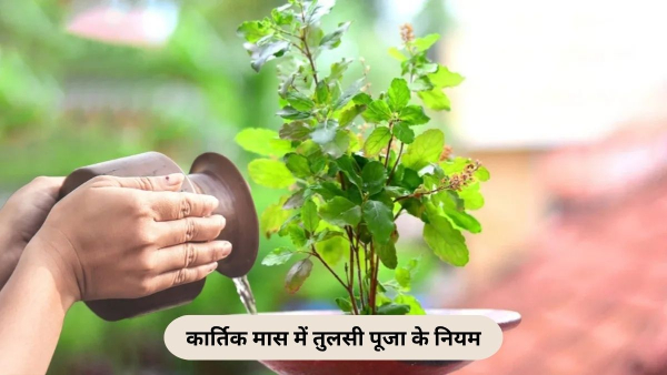Tulsi Puja Niyam