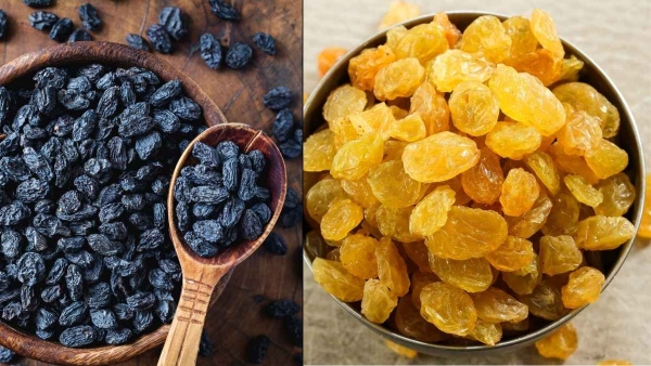 Yellow Vs Black Raisins Yellow Vs Black Raisins
