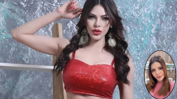 Why Sherlyn Chopra Removed Breast Implants