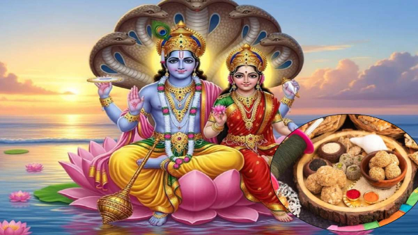 Can We Donate Rice On Shattila Ekadashi 2026