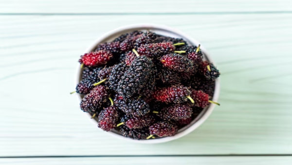 Mulberry Benefits