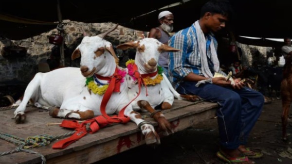 Bakrid 2026