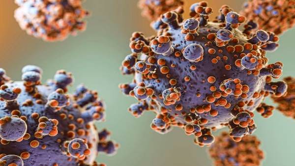 Hantavirus Outbreak