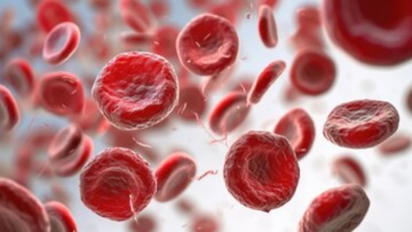 World Thalassemia Day