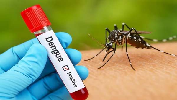 Dengue Cases In Delhi Dengue Cases In Delhi