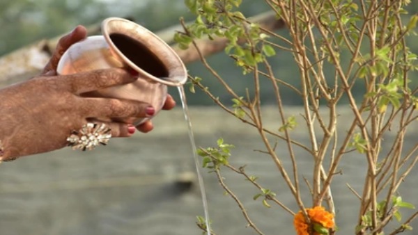 Ekadashi Tulsi Puja Niyam