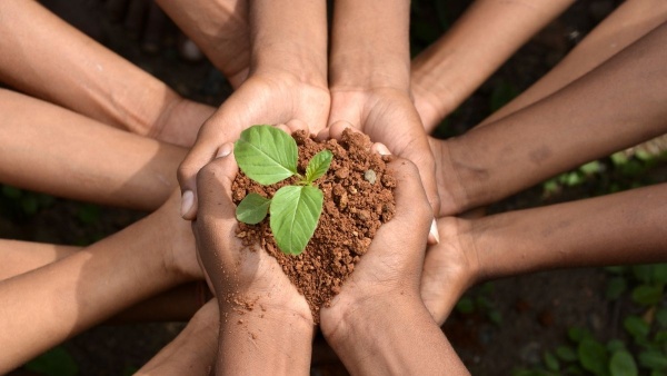 Environment Day 2026 Wishes