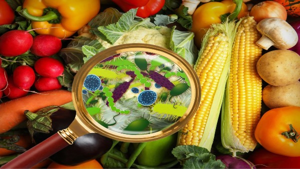 Food Safety