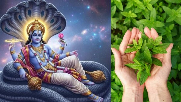 Nirjala Ekadashi Vrat Rules Nirjala Ekadashi Vrat Rules