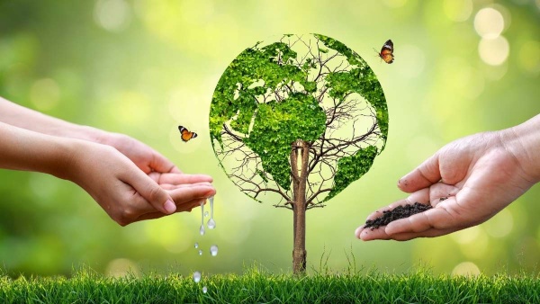 World Environment Day Wishes