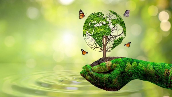 World Environment Day Wishes Quotes