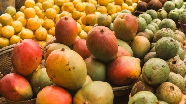 Chemical Mango Idemtification