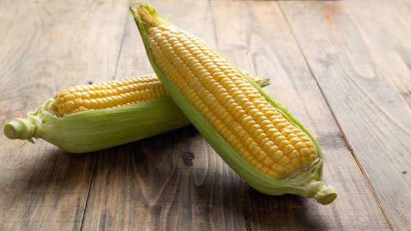 Corn Side Effects
