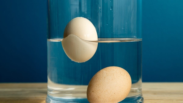 Egg Freshness Egg Freshness
