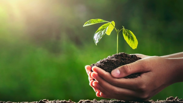 World Nature Conservation Day