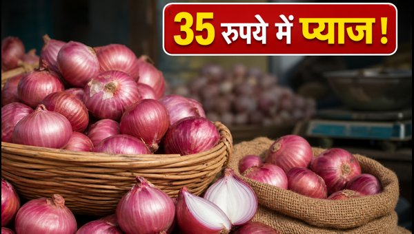 Cheap Onion Price in Delhi NCR: Buy at Rs 35/kg from Government Outlets Starting August 27, 2026
