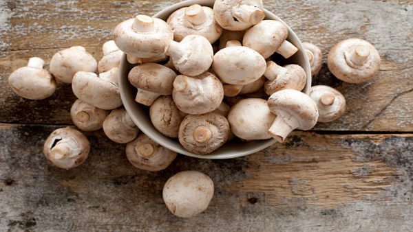 Mushroom Side Effects Mushroom Side Effects