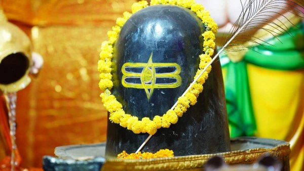 Sawan 2026 Shivling Puja Vidhi