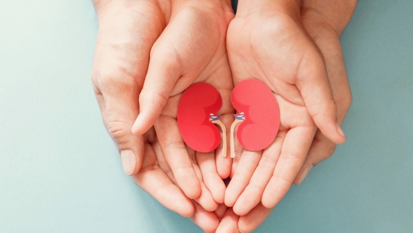 World Organ Donation Day World Organ Donation Day