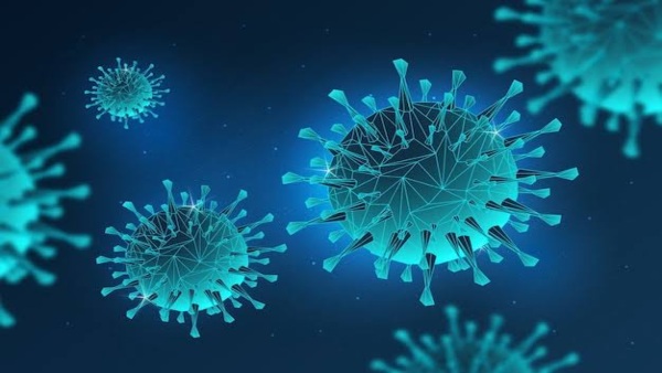 Shamonda Virus