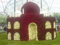 Bangalore Flower Show