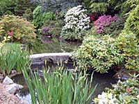 Nature's Beauty-Zen Story Nature's Beauty-Zen Story