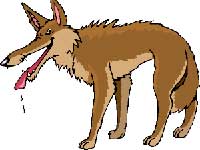 The Wolf And The Kid 